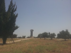 Hier wachsen Bäume auf Säulen...